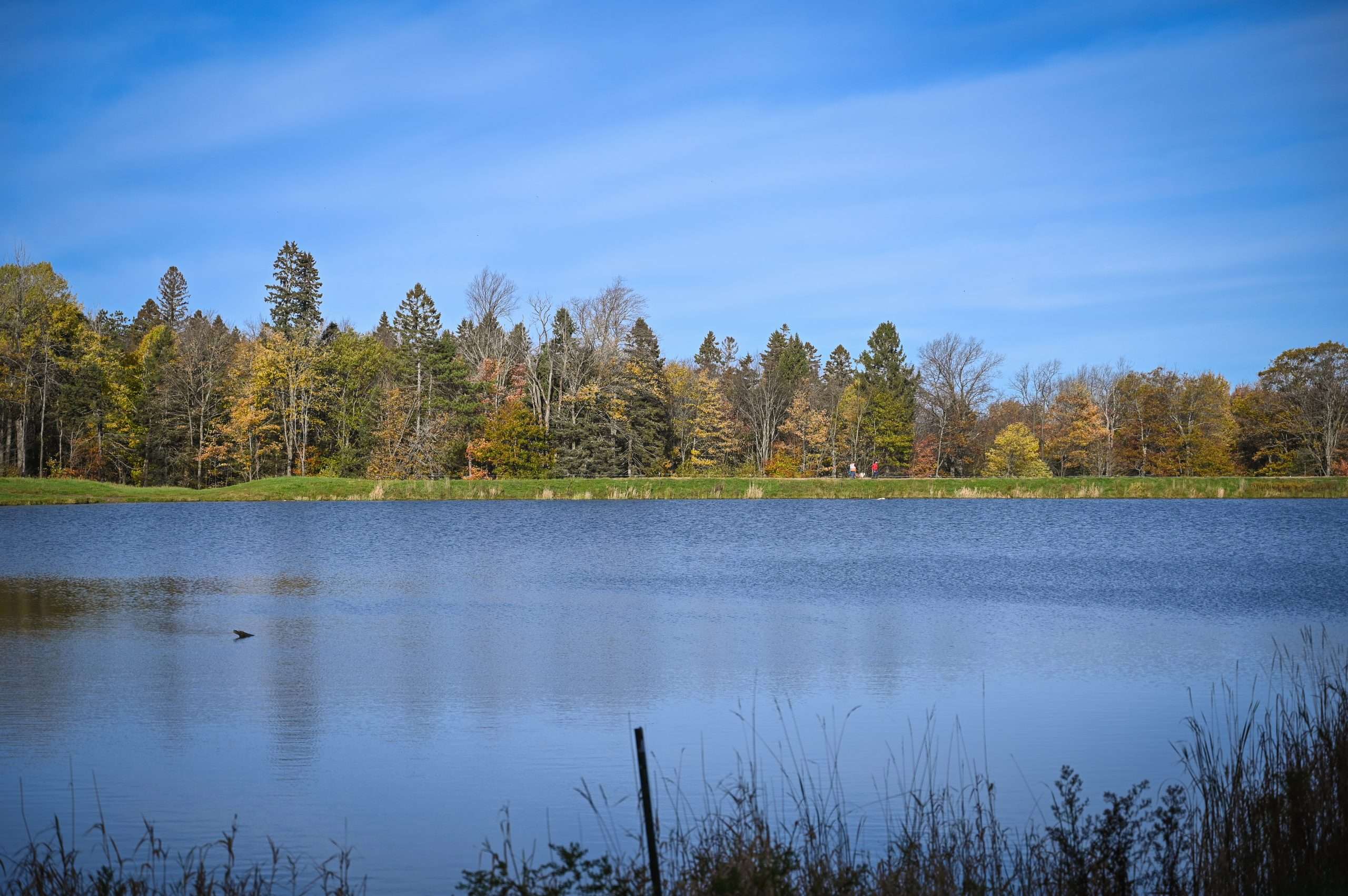 Calculate a Mortgage Payment Financial Calculator Cattaraugus County Bank