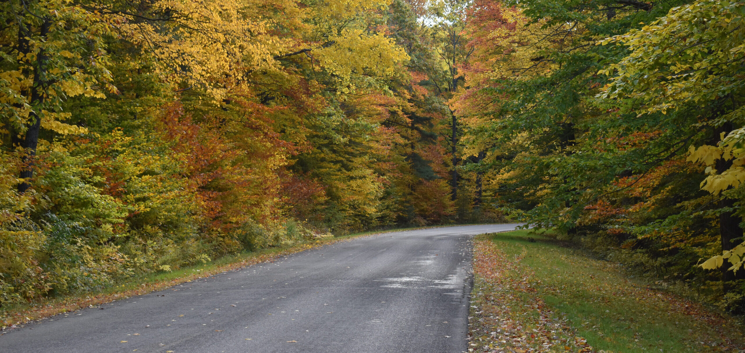 CCB Location in Salamanca, NY Cattaraugus County Bank